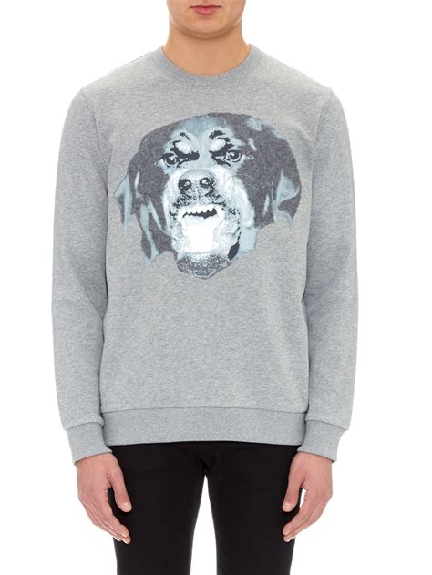 givenchy rottweiler jumper grey|givenchy sweater clearance men.